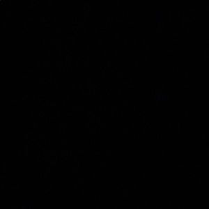 Meet your Posher, Macie